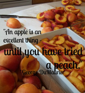 Face Off Quotes Peach