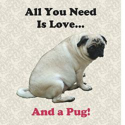 Funny Pug Quotes And Sayings