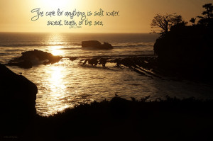 Shell Beach, CA, quotes