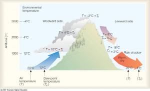 Rain Shadow Effect Diagram