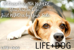 Quotes About Dogs Passing Away