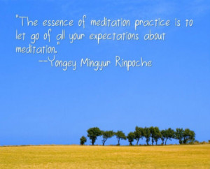 The essence of meditation practice is to let go of all your ...