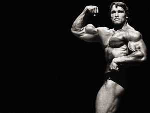 Arnold Schwarzenegger Workout Variation 1