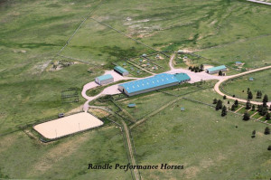 Randle Has Led The Titans...