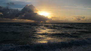 Funny Quotes Contact Dmca...