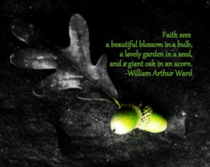 of Spring - Two Acorns - original photograph - hope - faith - renewal ...