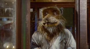 Teenage Mutant Ninja Turtles Splinter