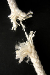 Patrick J. Skerrett , Executive Editor, Harvard Health