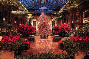 Longwood Gardens turns into a winter fantasy for the holiday season ...