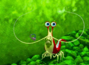 Finding Nemo Wallpaper Gill Jacques