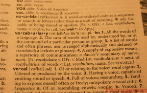 ... word every day. I personally like the idea of expanding my vocabulary