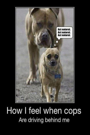 This is how I feel when the cop are on my tail