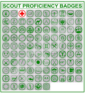 proficiency badges individual badges what is the use of proficiency ...