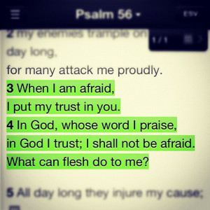 Bible Verses About Faith Trust And Hope