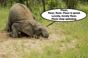 These Drunk Elephants Are Your New Spirit Animals