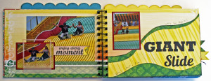 ... state fair photos.The inside front and back covers also had surfboards
