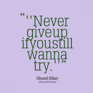 Quotes Picture: ''never give up if you still wanna try''