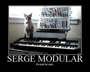 ... Cat Motivational Posters: Inspirational quotes from the world of Cats