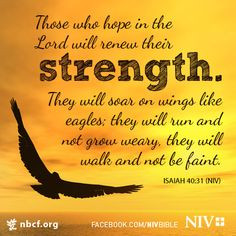 hope in the Lord will renew their strength. They will soar on wings ...