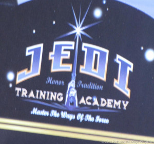 Jedi Training Academy: Standing Together
