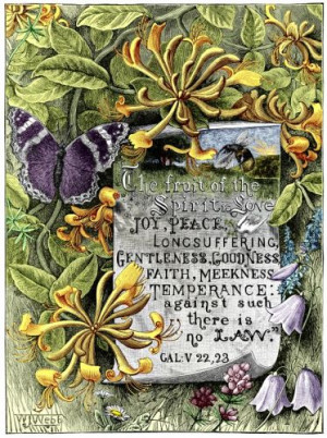 Most Popular Bible Verses | BOOK HOTELS IN THE WORLD | 4.5