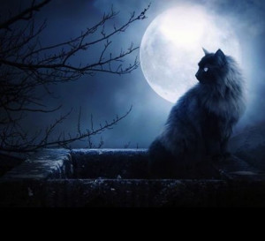 Friday the 13th. Boo! Enjoy basking in this bodacious moon. The 13th ...