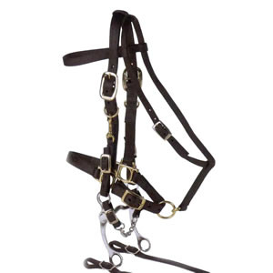 Horse Halter Bridle