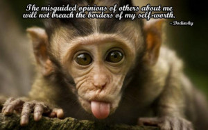 funny monkey on Tumblr