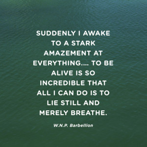 quotes-awake-amazement-barbellion-480x480.jpg