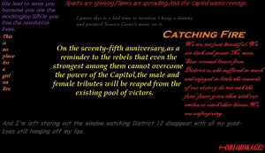 Catching Fire Quotes Fan Art