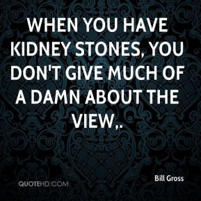 When you have kidney stones, you don't give much of a damn about the ...
