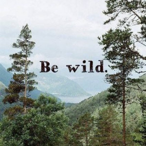 Be wild. Be free.