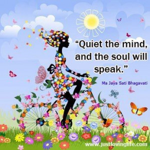 Quiet the mind and soul will speak.