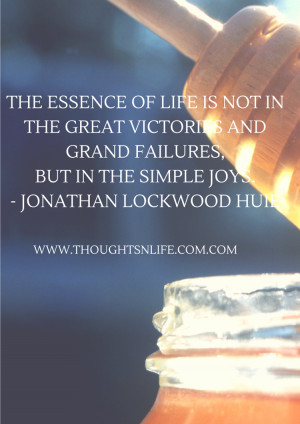 Thoughtsnlife.com :The essence of life is not in the great victories ...