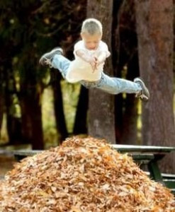 boy jumping in leaves