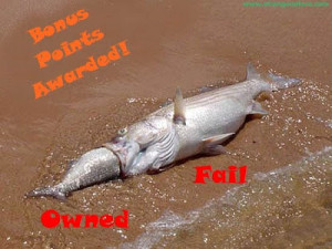 Funny Fish Failed Owned