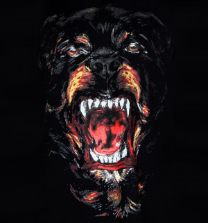 Oh, i am so in love with Givenchy Rottweiler Shirt!