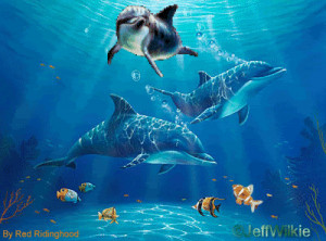 All Graphics » dolphin