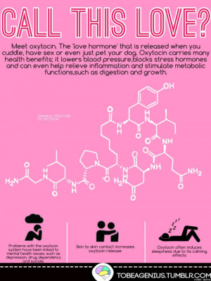 Here’s something to think about this valentines! Oxytocin; the real ...