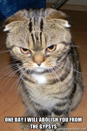 angry cat 2 - ONE DAY I WILL ABOLISH YOU FROM THE GYPSYS