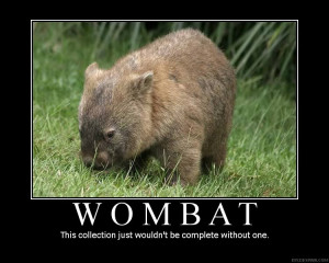 Wombat haz a bad rap but they iz cute