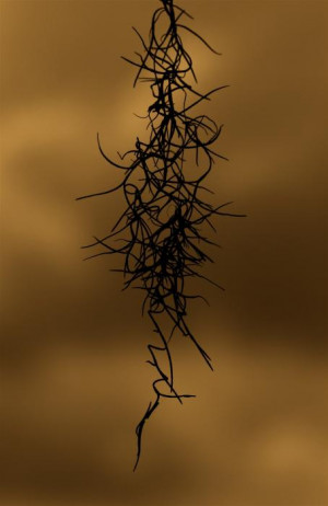 Funny Quotes Contact Us DMCA Notice