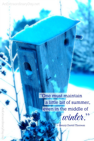 Thoreau Quote on Winter
