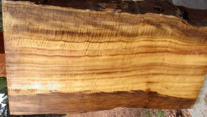 language educational psychology pygmalion effect pygmalion effect ...