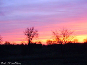 Sunday Seasoned Sayings: Sunrise by Megan Willome