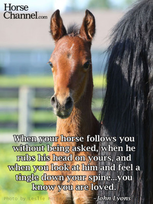 Share horses with your social networks