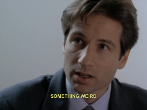 image from http://www.tumblr.com – Fox Mulder from the X Files