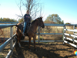 Yeah. In tie down roping is when you back your horse into the box like ...