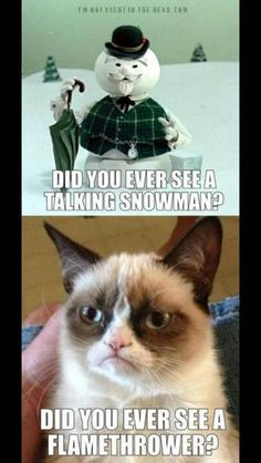 Grumpy Cat Meme Funny For...