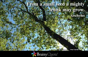 From a small seed a mighty trunk may grow.